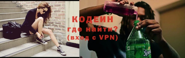 спиды Бородино