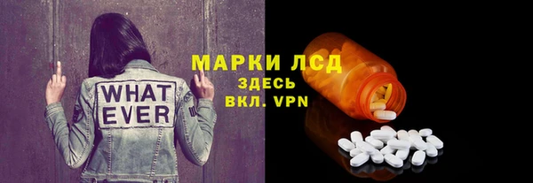 спиды Бородино