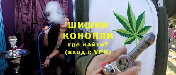 спиды Бородино