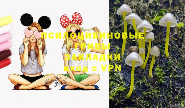 спиды Бородино